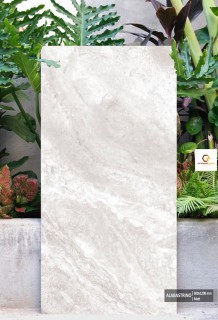 Gạch 60x120 CM Ấn Độ