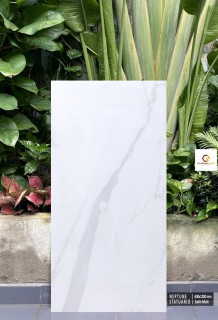 Gạch 60x120 CM Ấn Độ